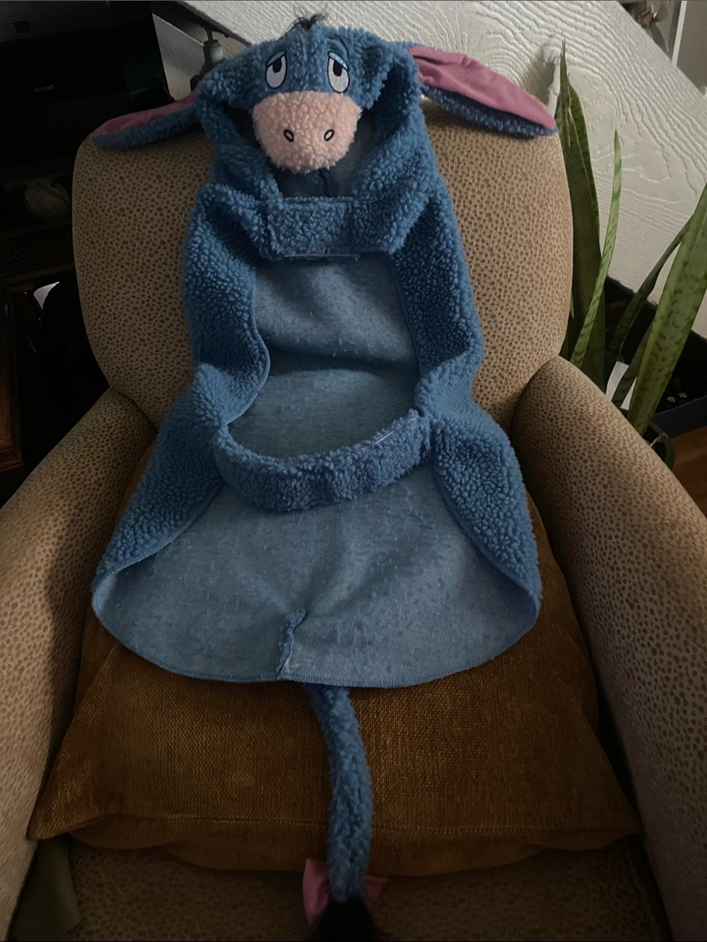 Disney doggy cape